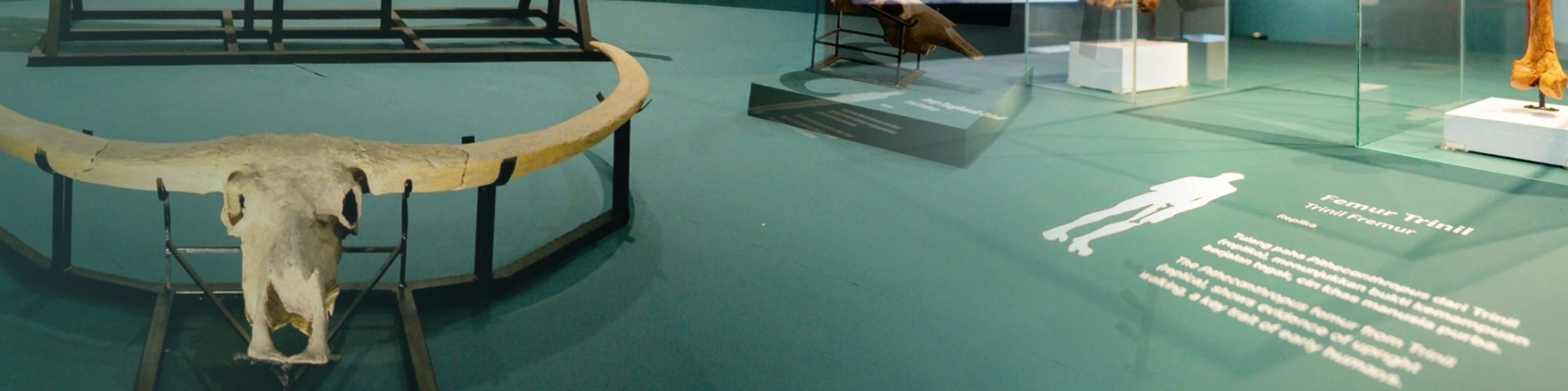 MUSEUM Bank Indonesia>